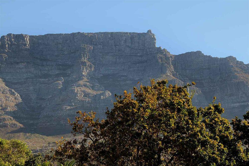 Three Boutique Hotel Cape Town Bagian luar foto